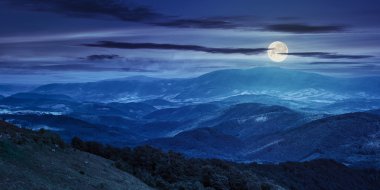 Geceleri bir dağ yamacında iğne yapraklı orman