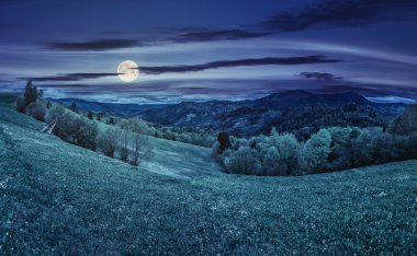 Geceleri dağlarda ağaçları ile kırsal çayır