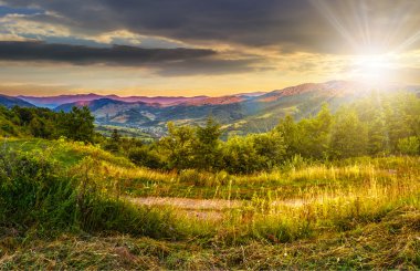 gün batımında dağ orman ile Hillside çayır