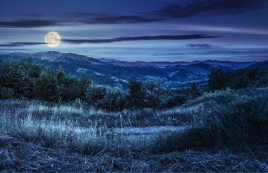 Hillside çayır ile dağ gece ormanda