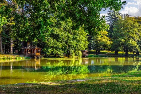 Reflexões lagoa no parque — Fotografia de Stock