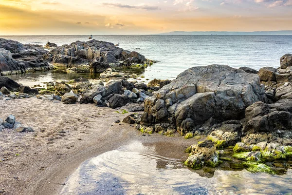 Piedras y algas en la costa rocosa del mar —  Fotos de Stock