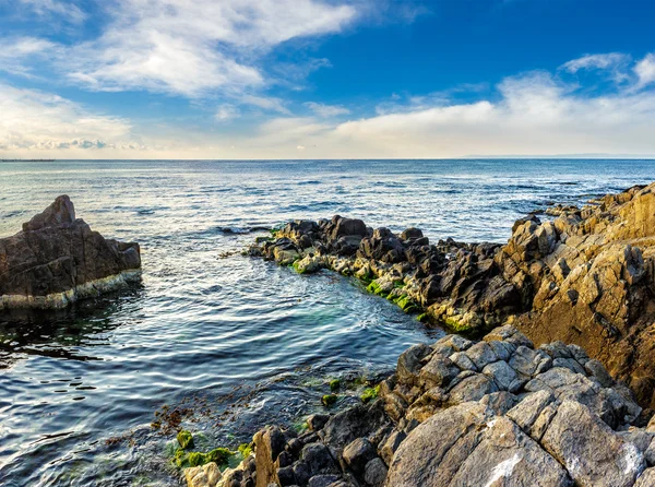 Piedras y algas en la costa rocosa del mar —  Fotos de Stock