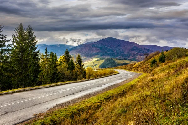 Mountain road near the coniferous forest with cloudy sky — Stock Photo, Image