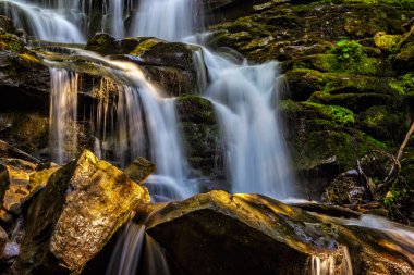 güzel şelale orman büyük taş gelir