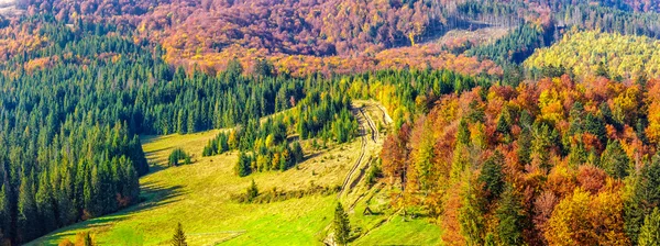 Árboles en el prado de otoño en las montañas — Foto de Stock