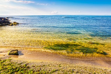 taşlar ve deniz kumlu Sahili üzerinde deniz yosunu
