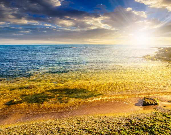 Камни и водоросли на песчаном побережье моря на закате — стоковое фото