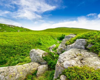 taşlar Vadisi Dağ üstüne