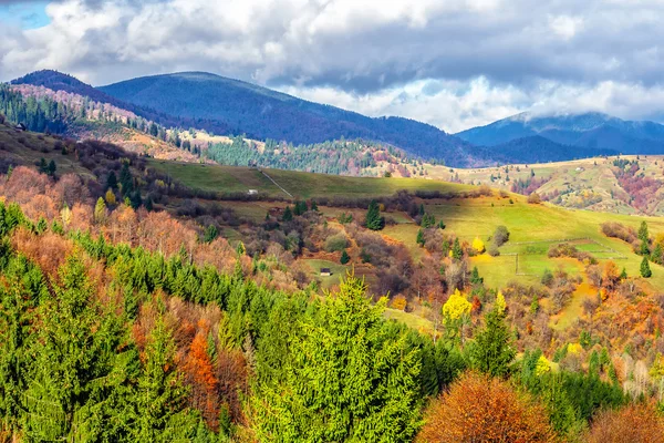 Pinheiros na encosta nas montanhas do outono — Fotografia de Stock
