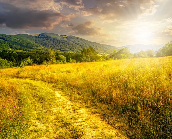 Road through a rural meadow on the hillside  at sunset — Stock Photo, Image