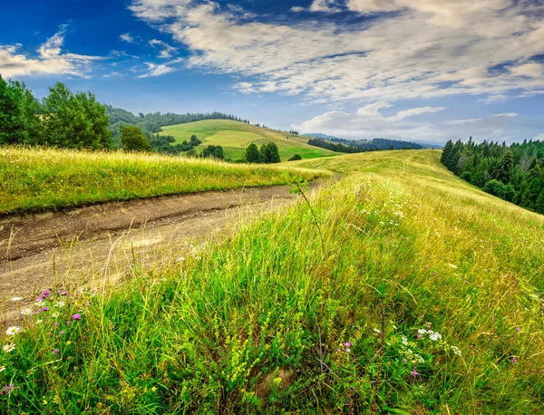 Route de campagne à travers un pré — Photo