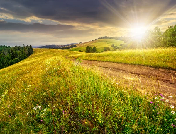 Strada di campagna attraverso un prato al tramonto — Foto Stock