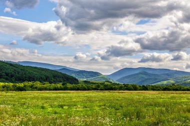 yamaca forest yakınındaki kırsal alan