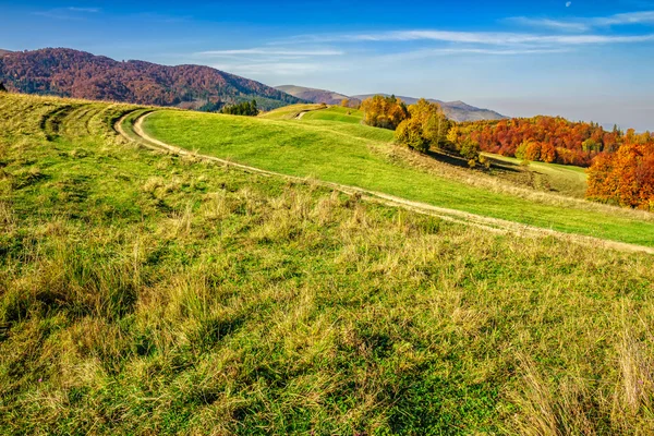 Árvores vermelhas no prado em montanhas — Fotografia de Stock