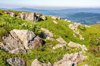 taşların üstünde belgili tanımlık dağ tepe