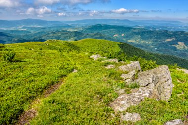 Karpat yamaca kayalar