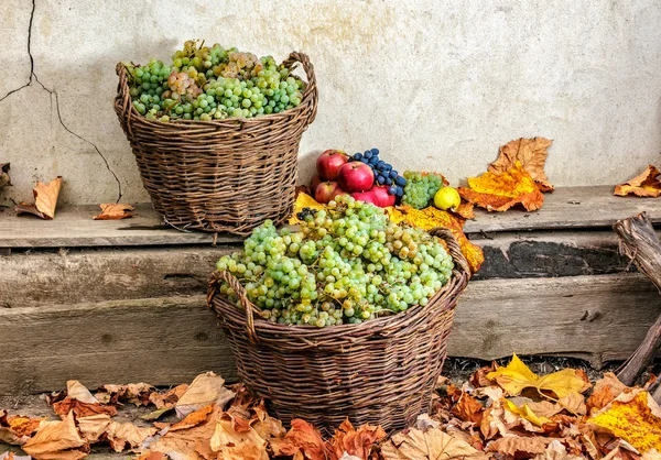 Herbstliches Stillleben mit Früchten und Blättern auf Holzsockel — Stockfoto