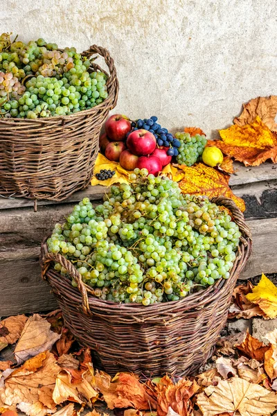 Autumnal still life with fruit and leaves on a wooden base — Stock Photo, Image