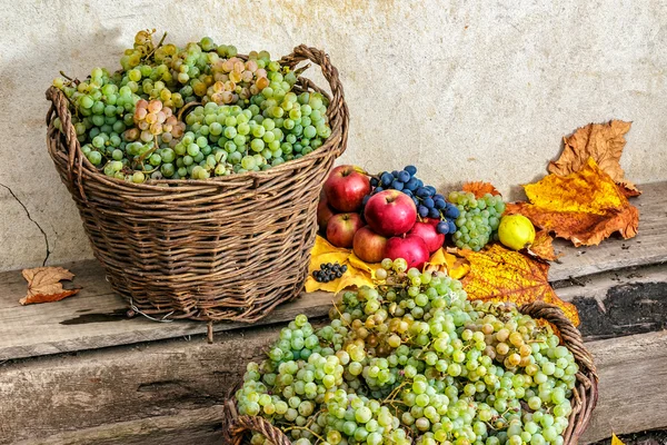 Herbstliches Stillleben mit Früchten und Blättern auf Holzsockel — Stockfoto