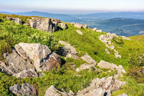 taşların üstünde belgili tanımlık dağ tepe