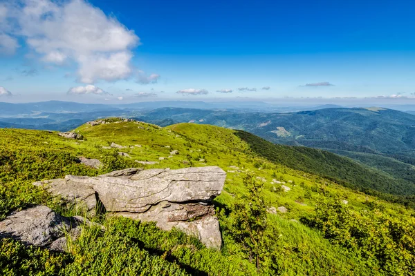 taşların üstünde belgili tanımlık dağ tepe