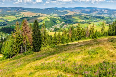 dağ orman ile hillside çayır Köyü
