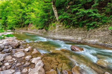 nehir kıyıları anmong ormanın üzerinde taşlarla