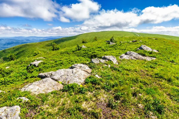 Letní krajina s kameny na kopci — Stock fotografie