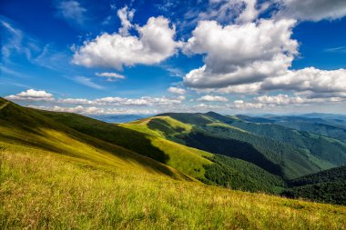 tepe yan yaz çayır