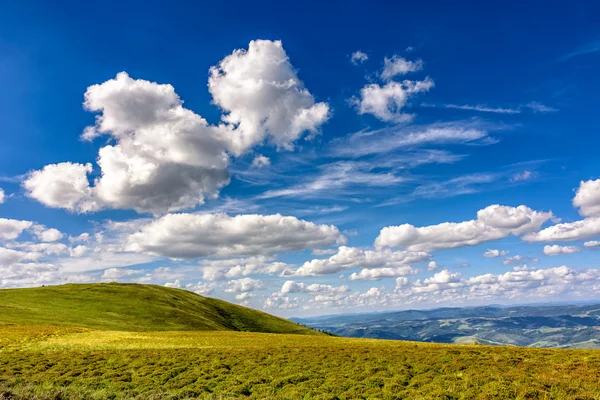 Hill side weide in de zomer — Stockfoto