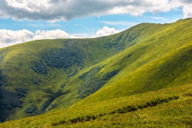 tepe yan yaz çayır