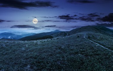 yaz geceleri Hill side çayır