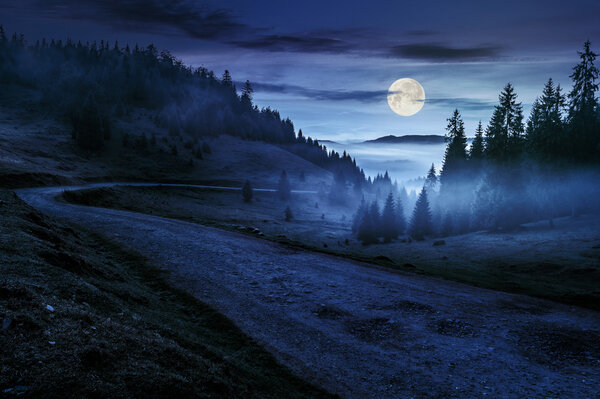 Road through the foggy meadow near spruce forest in mountains at night in full moon light