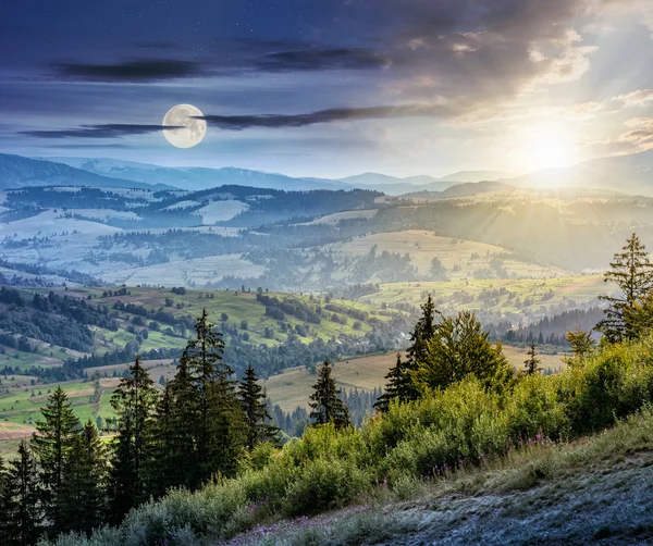 Paysage de montagne classique des Carpates en été — Photo