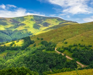 hill side çayır yaz aylarında yol
