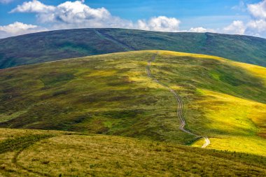 bir çayır yamaca yolda