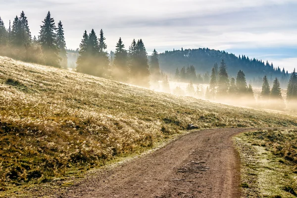 Camino cerca de bosque de niebla en las montañas al amanecer — Foto de Stock