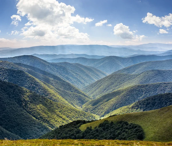 Valley between green hills in summer — Stock Photo, Image