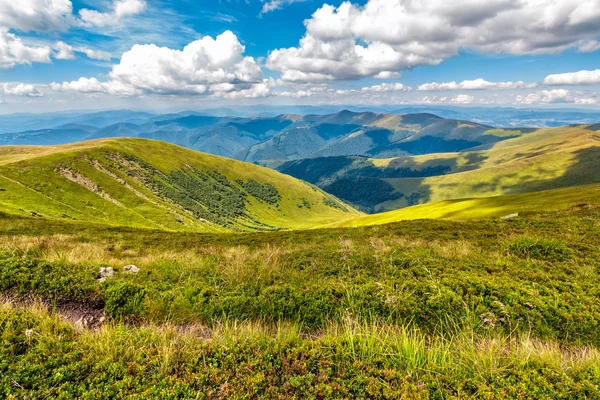 Hill vedlejší louce v létě — Stock fotografie