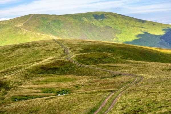 bir çayır yamaca yolda