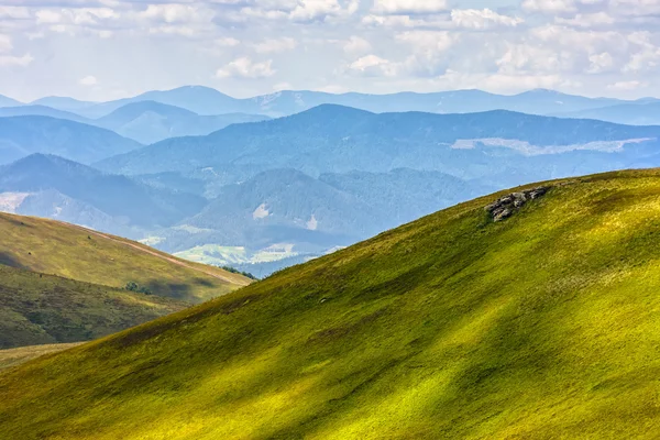 Hangwiese in Berg — Stockfoto