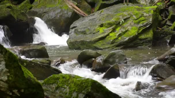 Pequeña cascada del arroyo entre rocas — Vídeo de stock