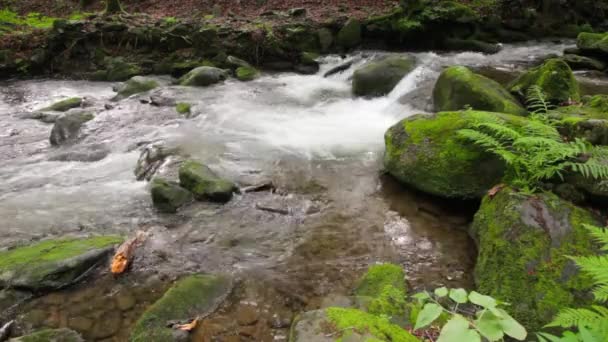 Pequeña cascada del arroyo entre rocas — Vídeos de Stock