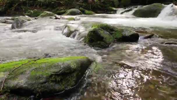 Small cascade of the brook among boulders — Stock Video