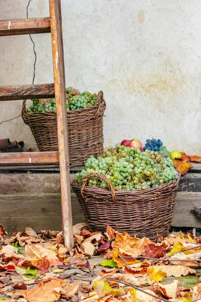 Høstlig stilleben med frukt og blader – stockfoto