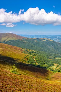 dağ manzarası ile orman ve çayır