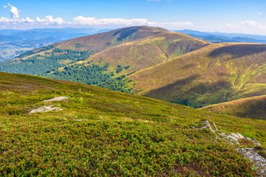 Yaz sonu dağ manzarası