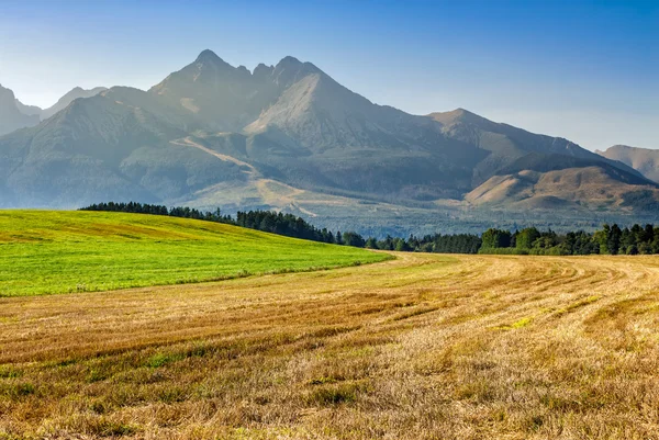 Campo rural nas montanhas Tatra — Fotografia de Stock