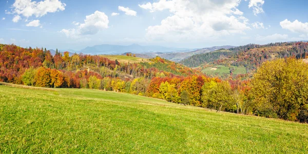 Hösten skogen i bergen — Stockfoto